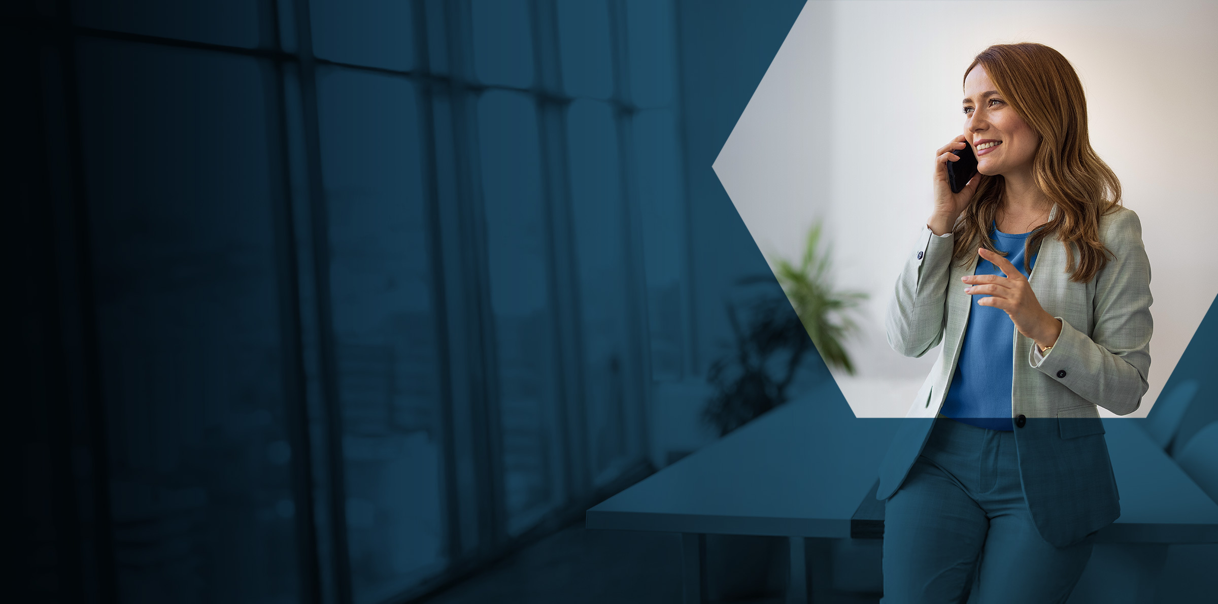 CS Desktop Governance Header